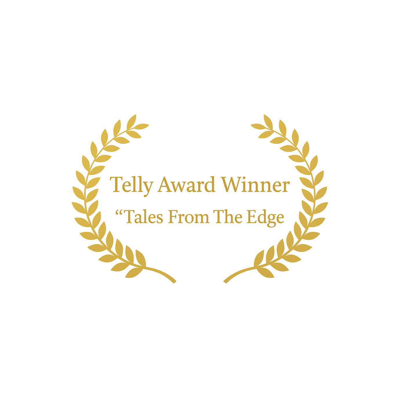 Telly Award Craft-Use of 360/VR