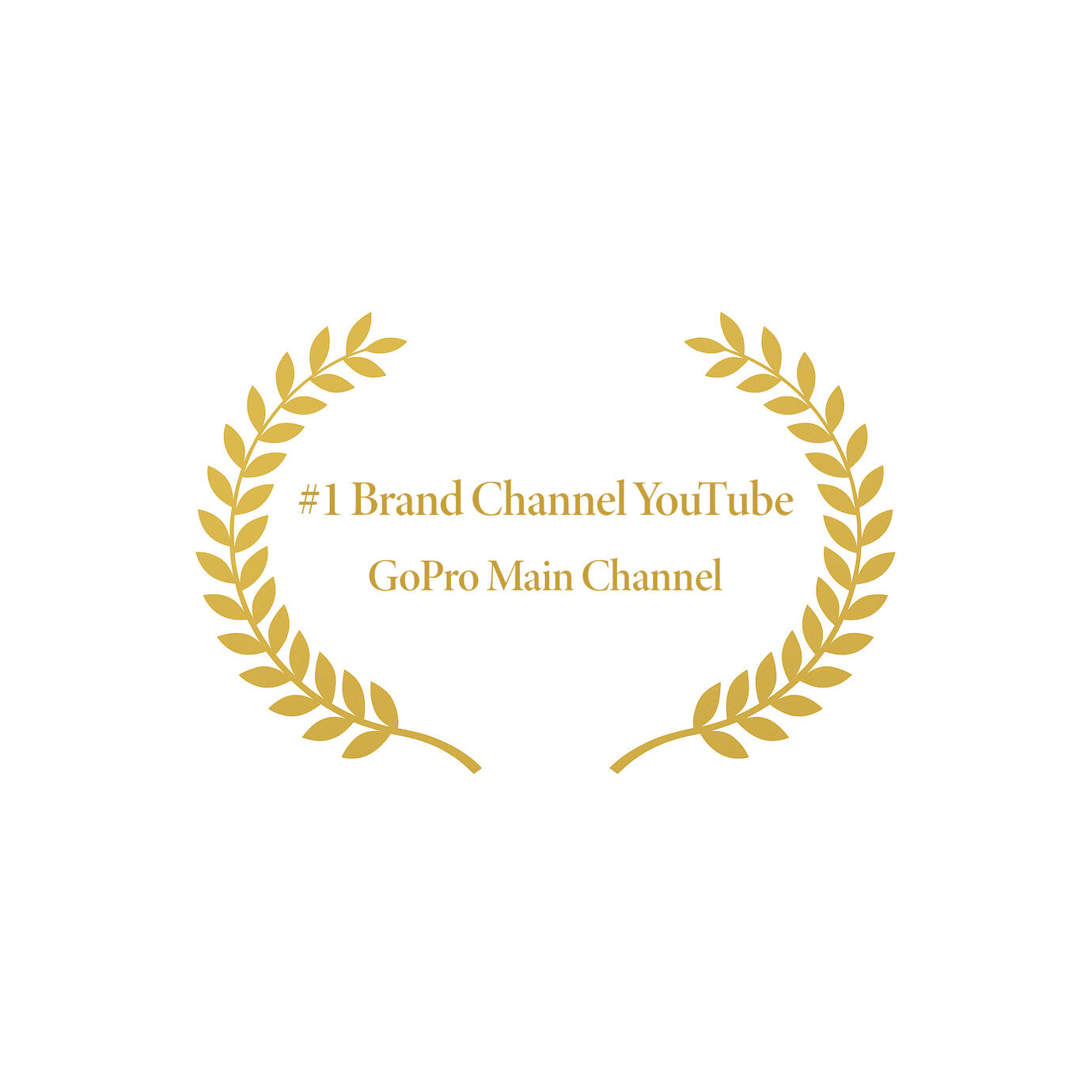 2014 #1 Brand Channel on YouTube